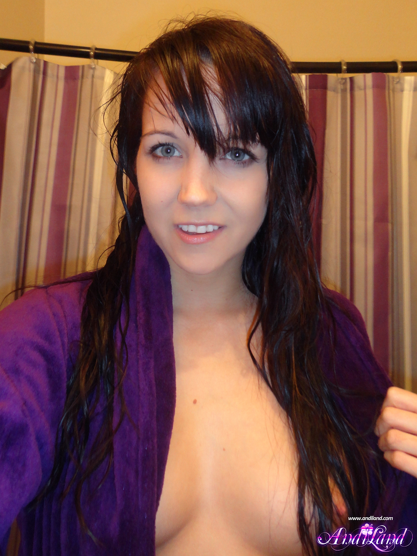 Andi Land