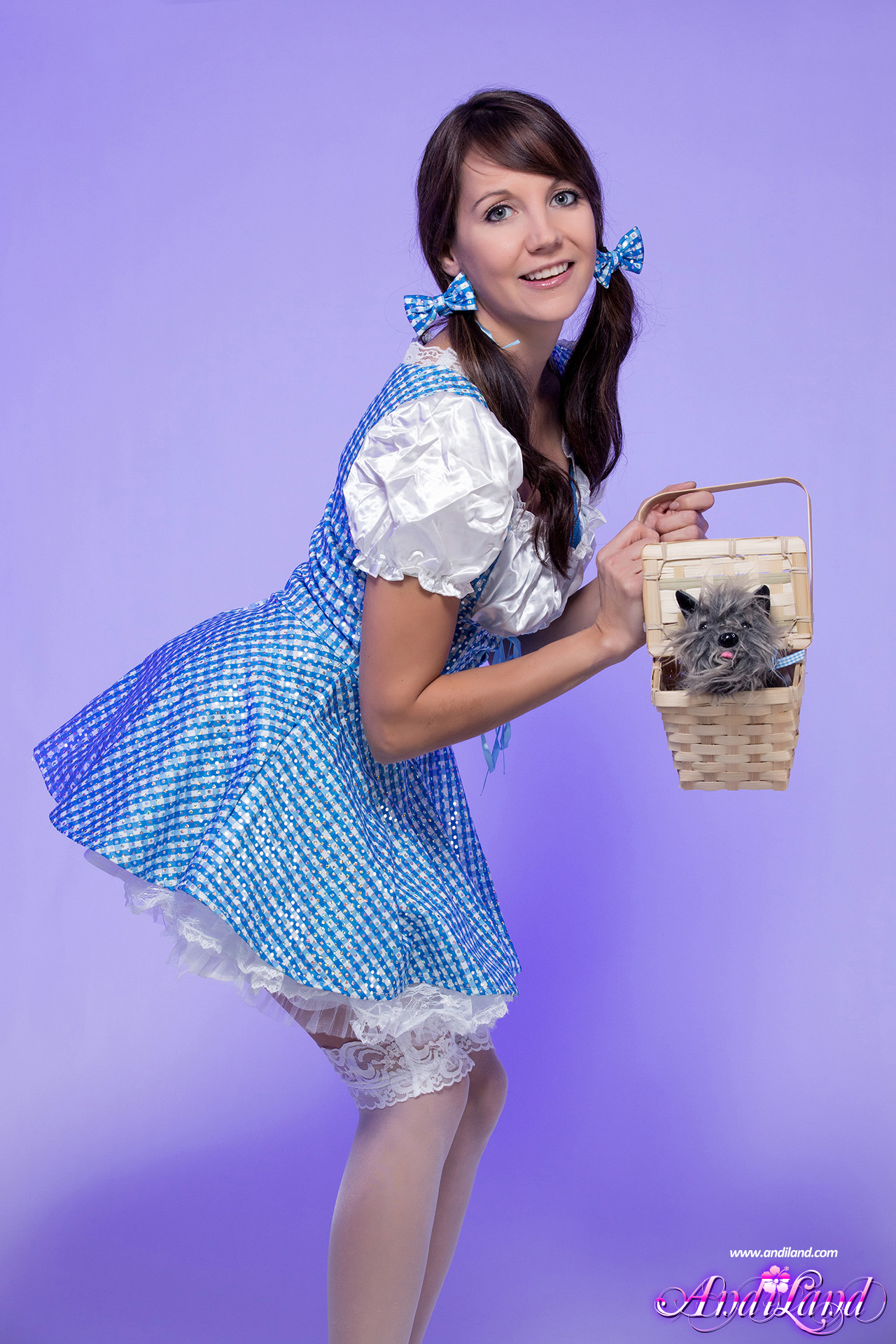 Andi Land