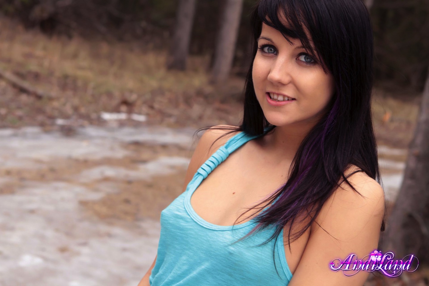 Andi Land